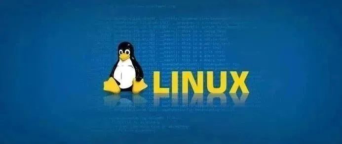 linux给用户只读权限_linux 给用户某个目录权限_linux给用户只读权限