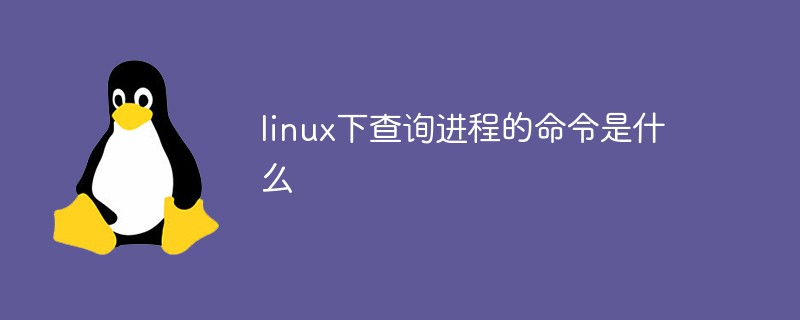 linux 查看ftp状态_linux查看服务状态_linux查看服务状态命令