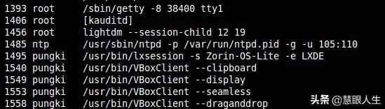 linux查看运行的程序_linux查看运行内存命令_linux查看运行进程