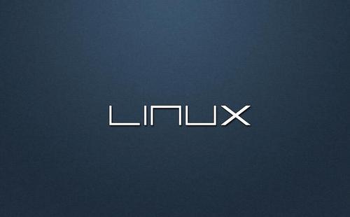 linux输入不了中文_linux输入中文_linux下输入python