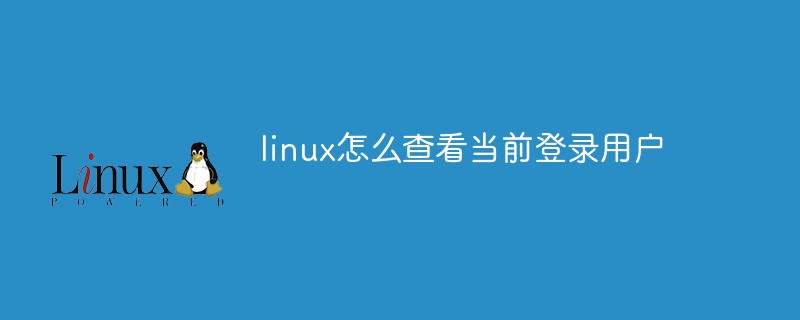 linux查看登录用户_linux查看用户登陆记录_linux查看登录用户列表