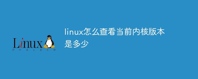 linux查看系统版本_查看 linux 操作系统版本_linux下查看系统版本